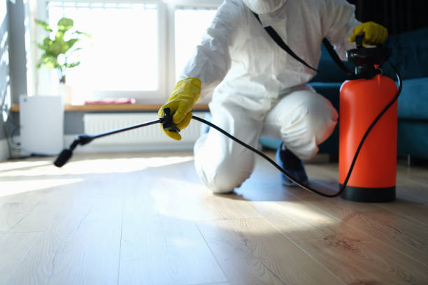 Reliable Sewage Cleanup contractor in Pine Beach, NJ by Trauma Clean Pros